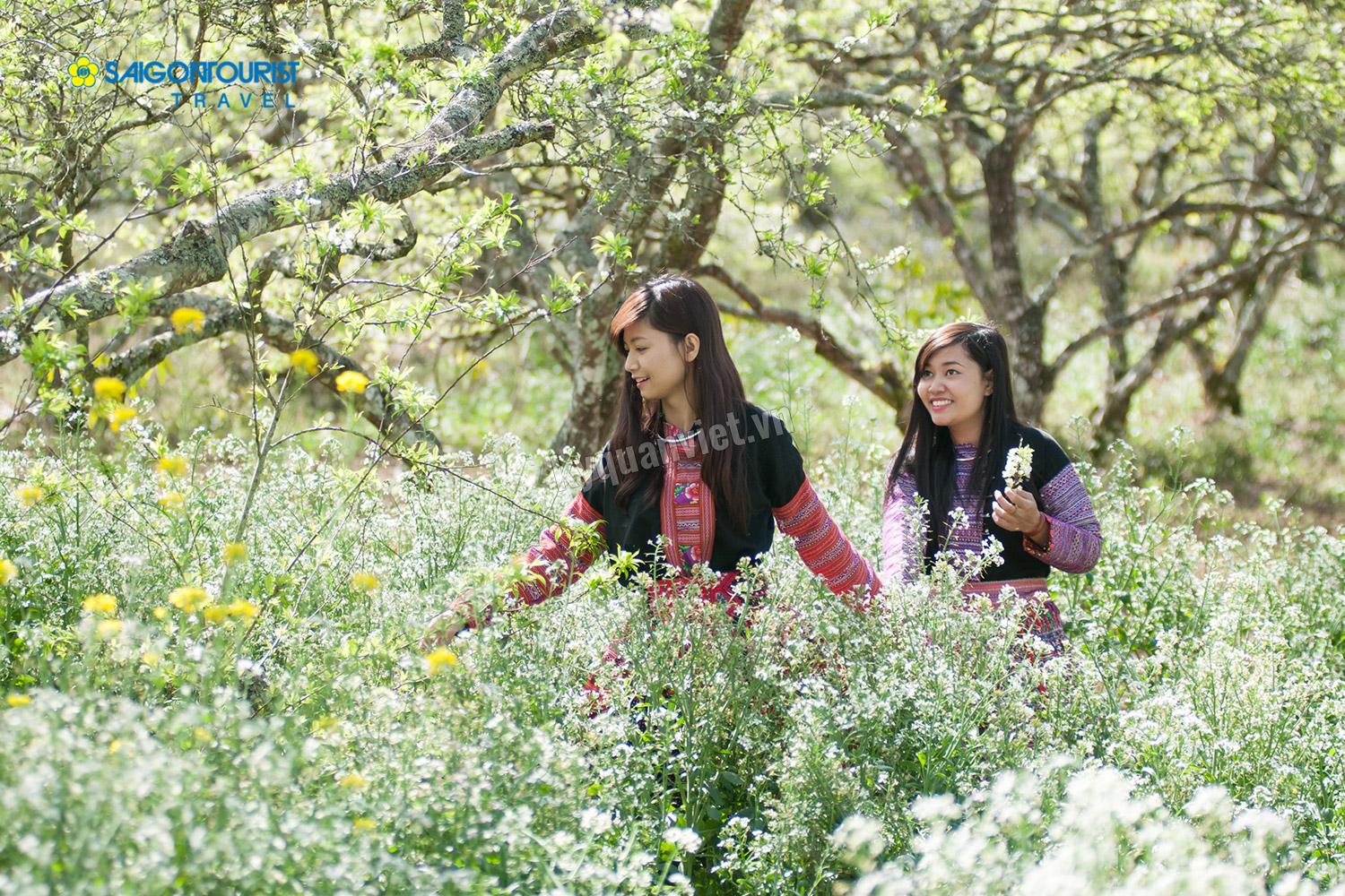 Chia Se Kinh Nghiem Du Lich Moc Chau theo thang